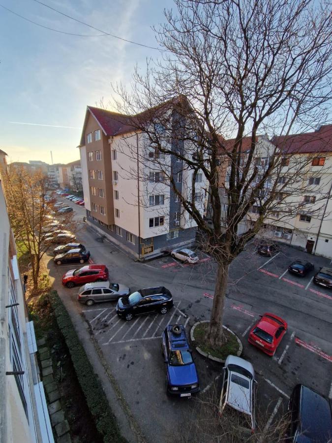 Apartament Victoria Appartement Târgu Jiu Buitenkant foto